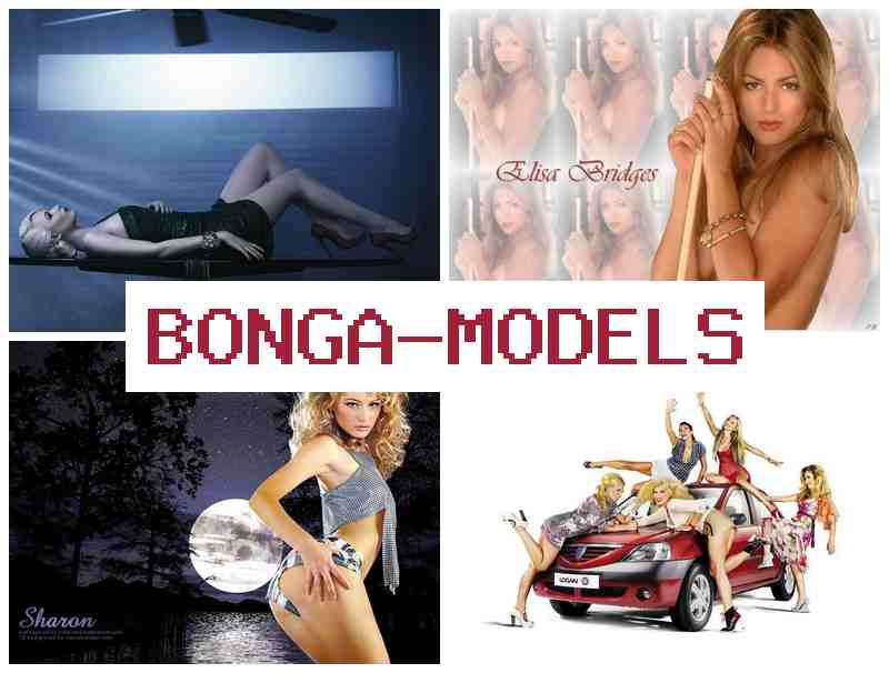 BONGA MODELD 🆕 Trabajo flexible para principiantes en internet disponible 24/7