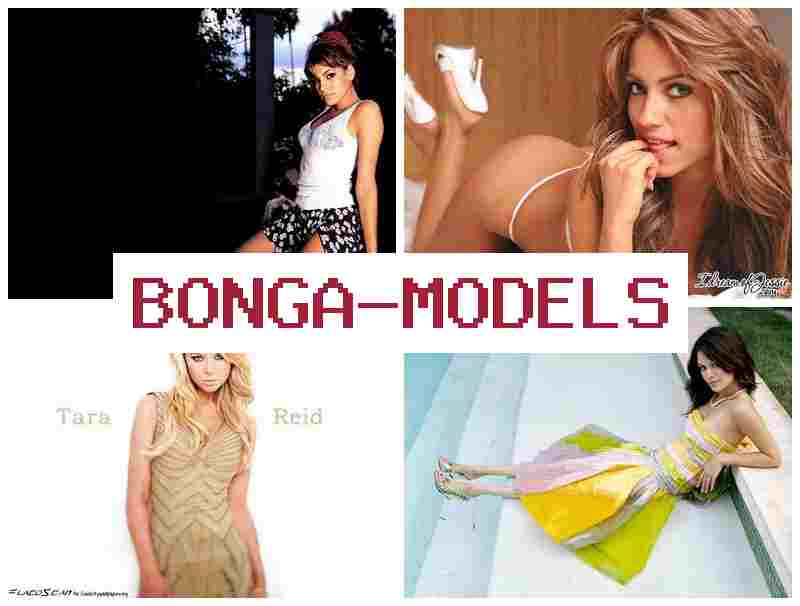 BONGA MOXELS 💰 மொபைலில் கூட செய்யலாம் வீடியோசாட் மாடல் வேலை வீட்டில் இருந்தபடி