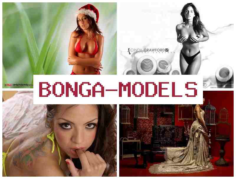BONGA MOD4LS 🔵 Evden çalışarak internet modeli olarak evden yüksek gelir sağlayın