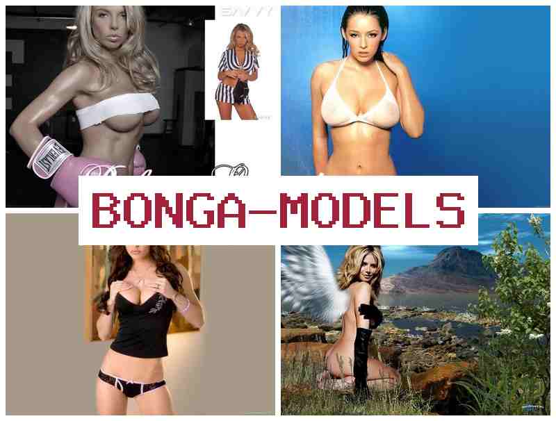 BONGO MODELS 💴 Deneyimsizler için telefonla kolayca işinizi yönetin
