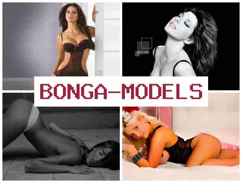 BONGAMODEKS ✔️ قانونی کام گھر پر کریں، مکمل معاونت اور آزادانہ اوقات۔