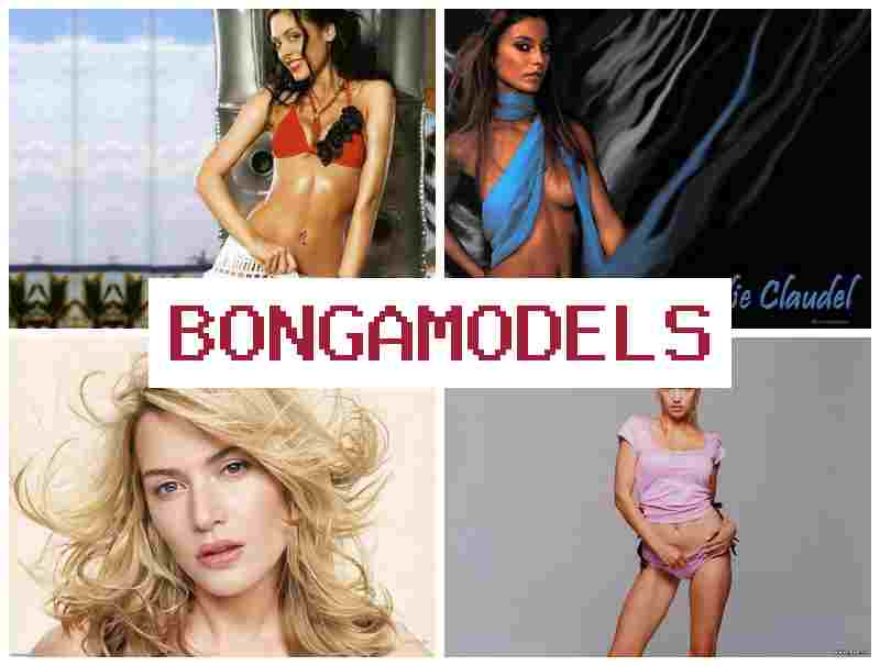 BONGA MODEL 🆗 इंटरनेट पर वीडियो चैट में जुड़ें लचीला समय उच्च वेतन और समर्थन उपलब्ध