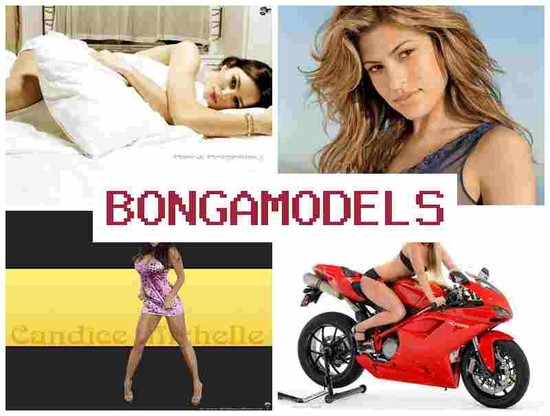 BONGAMODES 🔶 मोबाइल से घर बैठे कमाई 24/7 तकनीकी सहायता शुरुआती के लिए आसान