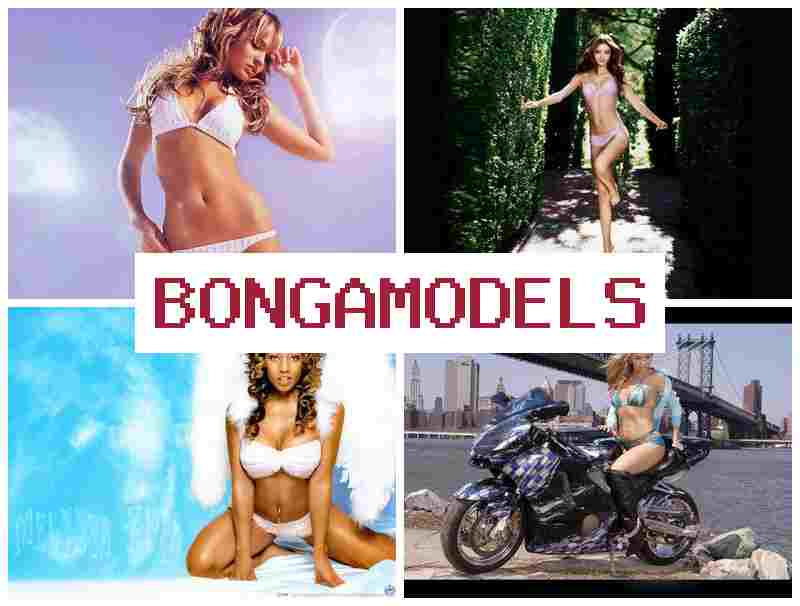 BONGA AMODELS 🆓 Earnings as a webcam model via the internet home-based