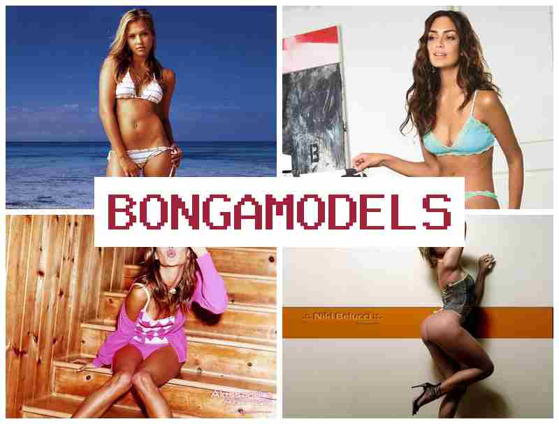 BOBGAMODELS 🆕 Make Money in Live Chat, Stable Weekly Payouts