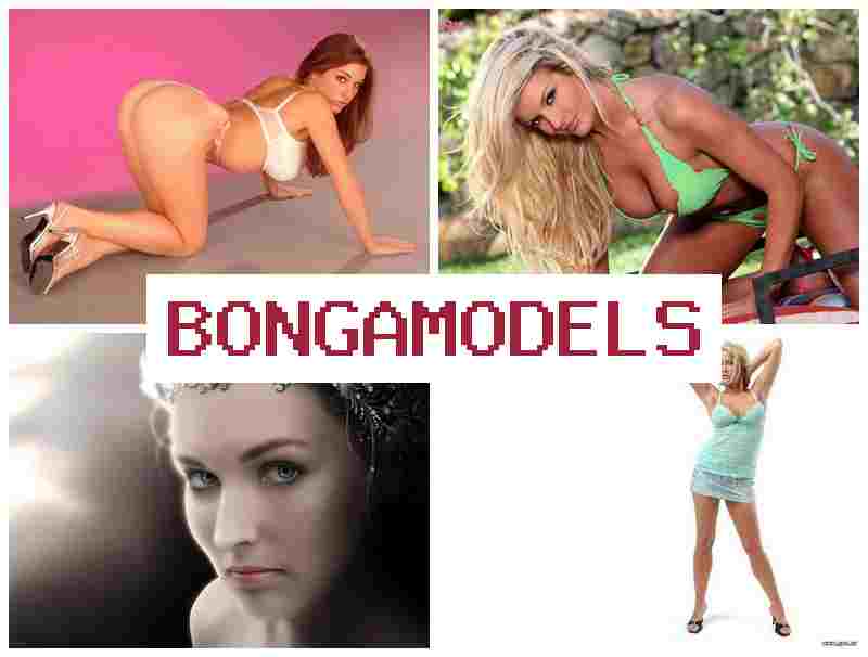 BONGA MODWLS 🌟 સૌરાષ્ટ્રમાં સરળ કાર્ય ઘરમાંથી ઇન્ટરનેટ મોડલ તરીકે ઓનલાઇન