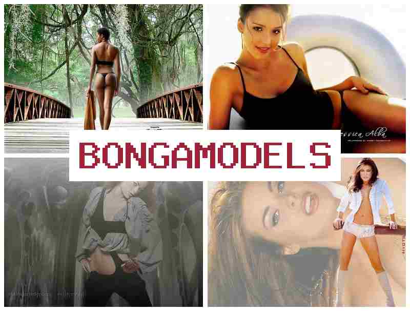 BONGAMORELS 💵 Կայուն եկամուտ հեռավար աշխատանքի համար