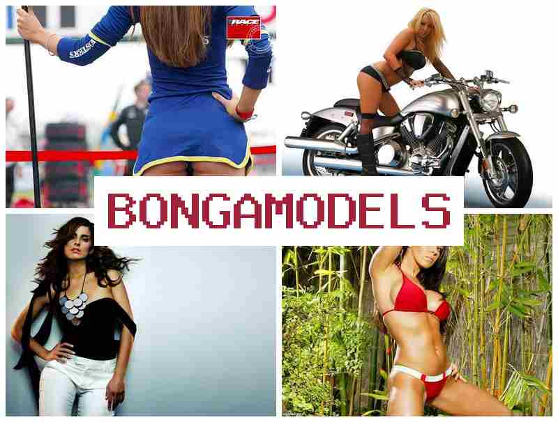 BONGA MODES 🎇 Bekerja dari rumah sebagai talenta obrolan video