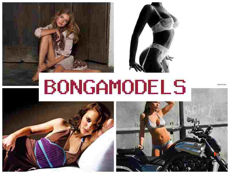 BONGA MODEELS ▒ Karier fleksibel untuk semua di media live chat