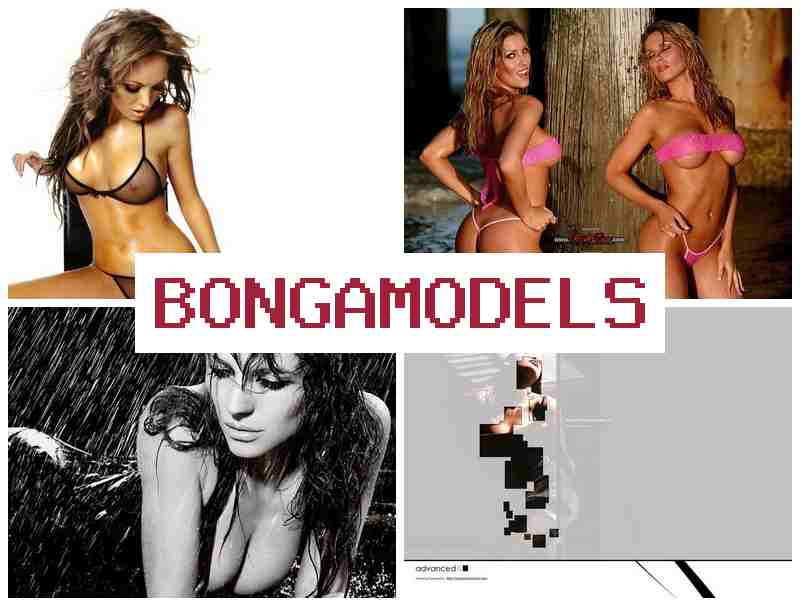 BONGA MDOELS 🌐 Proses pendaftaran mudah sebagai model streaming daring