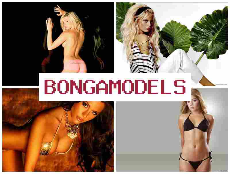 BOBGA MODELS 💷 Pekerjaan daring legal sebagai talenta obrolan daring