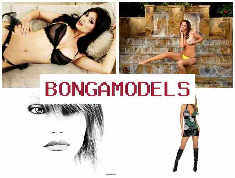 BONGSMODELS 💸 Proses mudah untuk pemula sebagai talenta siaran daring