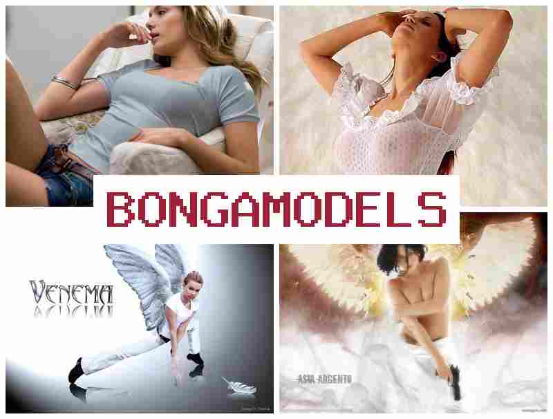 BONGAMLDELS 💸 Pendapatan menjanjikan untuk model web dari rumah