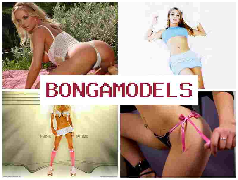 BONGA MODEL 💵 სანდო ვიდეოჩატის ონლაინ სამუშაო, ოცდაოთხსაათიანი ტექნიკური დახმარებით