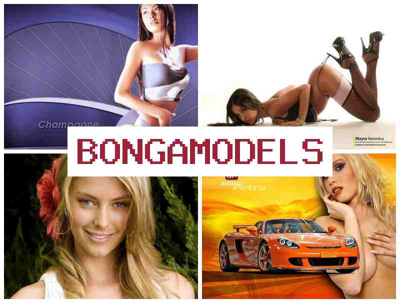 BONGA MODELSS 🔵 ვიდეოჩატის მოდელად მუშაობა სახლიდან, თავისუფალი სამუშაო გრაფიკით