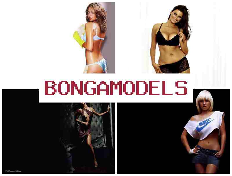 OBNGA MODELS 🆒 ლეგალური ონლაინ ჩატის მოდელის სამუშაო, მუდმივი ტექნიკური მხარდაჭერით