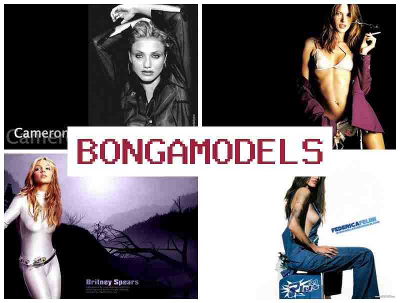 B0NGA MODELS 💯 სანდო ონლაინ ვიდეოჩატის სამუშაო, მუდმივი ტექნიკური მხარდაჭერით