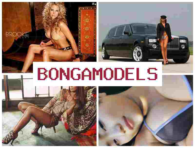 BOHGA MODELS 🆒 ვიდეოჩატის მოდელის ონლაინ ვაკანსია, წინასწარი გამოცდილების გარეშე