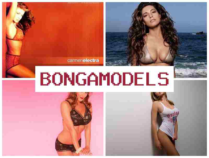 BONHA MODELS 🔺 ინტერნეტ მოდელის დისტანციური სამსახური, სტაბილური ანაზღაურებით და მოქნილი სამუშაო გრაფიკით