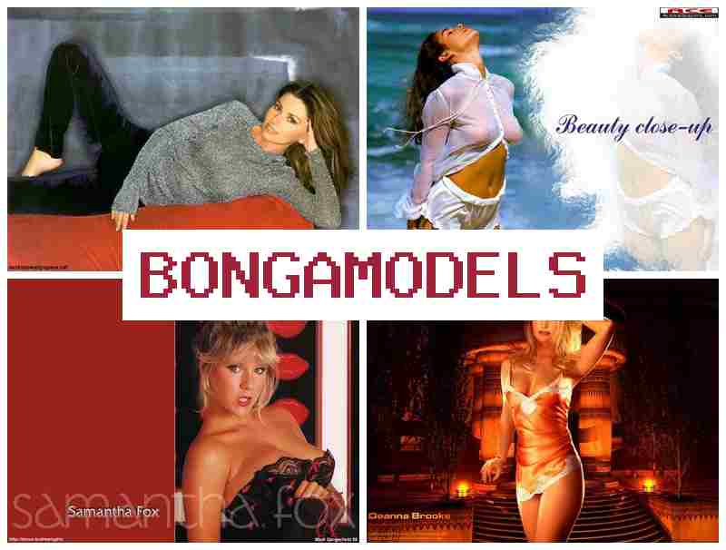 BONGQ MODELS 💑 დისტანციური სამუშაო ვიდეოჩატის მოდელად, გამოცდილება საჭირო არ არის