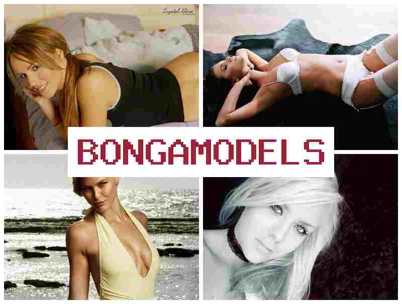 BONGAMODES 💷 ინტერნეტ ჩატის მოდელის სამსახური, მაღალი შემოსავლით და დისტანციური მუშაობით