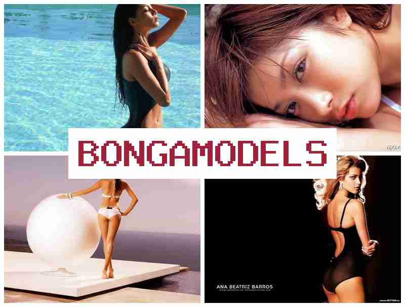 BONGZ MODELS 💴 ლეგალური ვიდეოჩატის სამსახური ინტერნეტში, ოცდაოთხსაათიანი ტექნიკური დახმარებით