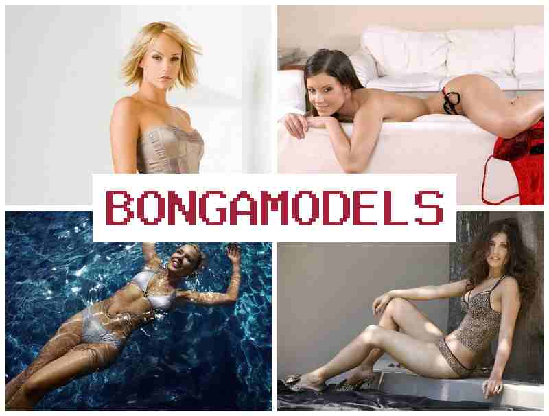 BONGA KODELS 🆒 დისტანციური ვიდეოჩატის სამსახური, მაღალი ანაზღაურებით