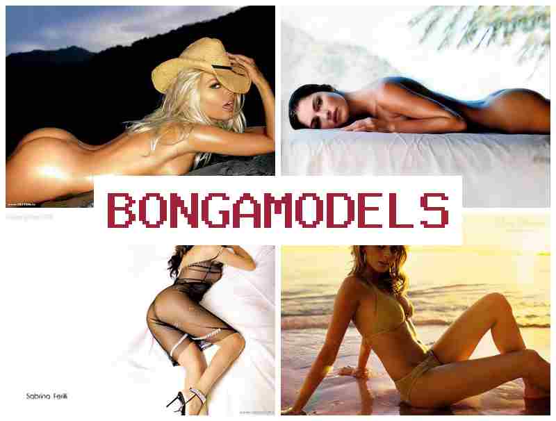 BONGA MOFELS 🆓 ვირტუალური ჩატის მოდელის სამსახური, მაღალი შემოსავლით და დისტანციური მუშაობით