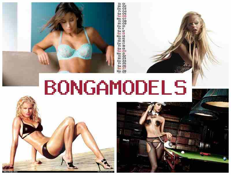 BONGA MOXELS 💻 ინტერნეტ ჩატის მოდელის სამსახური, კარგი ანაზღაურებით და დისტანციური მუშაობით
