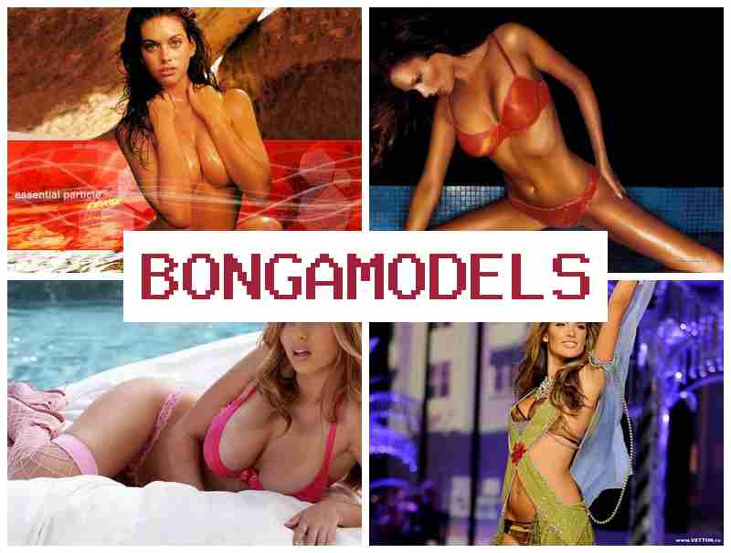 BONGO MODELS 🌐 ონლაინ ჩატის მოდელის ვაკანსია, კვირეული ანაზღაურებით და მოქნილი სამუშაო გრაფიკით