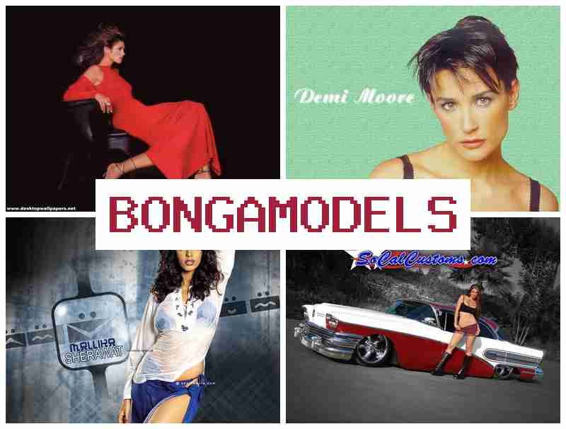 BOBGAMODELS 🔶 ლეგალური ვიდეოჩატის სამსახური ინტერნეტში, ოცდაოთხსაათიანი ტექნიკური დახმარებით