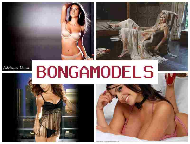 BONGO MODEL 📹 ინტერნეტ ვიდეოჩატის სამსახური სახლიდან, წინასწარი გამოცდილების გარეშე