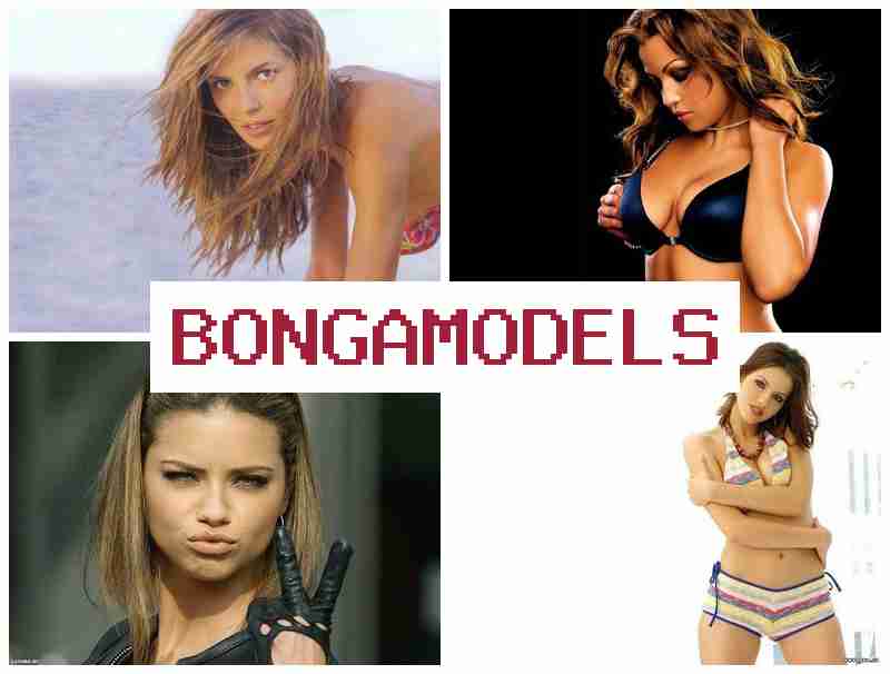 BONGAM9DELS 💻 ლეგალური ონლაინ ჩატის მოდელის სამუშაო, ოცდაოთხსაათიანი ონლაინ დახმარებით