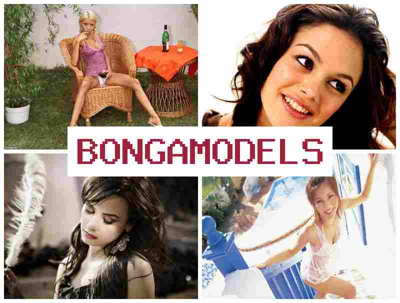 BOGA MODELS 💻 ვიდეოჩატის მოდელის ონლაინ ვაკანსია, წინასწარი გამოცდილების გარეშე