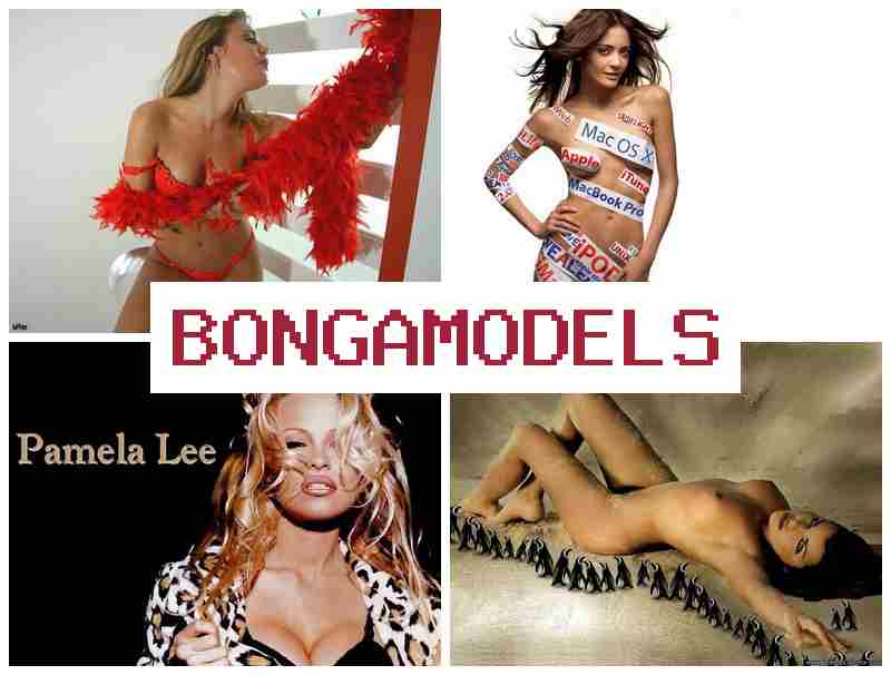 BONGAMOEDLS ✔️ ធ្វើការវីដេអូម៉ូដែលប្រកបដោយសេរីភាព ប្រាក់ចំណេញល្អ ធ្វើបានពីទូរស័ព្ទ គាំទ្រតាមអនឡាញ24ម៉ោង ការងារត្រឹមត្រូវ និងងាយស្រួល