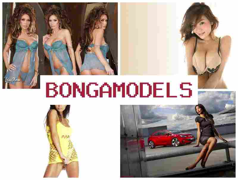 BOGA MODELS 🔔 ಸ್ವತಂತ್ರವಾಗಿ ಹೆಚ್ಚು ಪಾವತಿಯ ವೆಬ್‌ಮೋಡೆಲ್ ಕೆಲಸ, ಹಗಲು-ರಾತ್ರಿ ಲಭ್ಯವಿರುವ ಸಹಾಯ