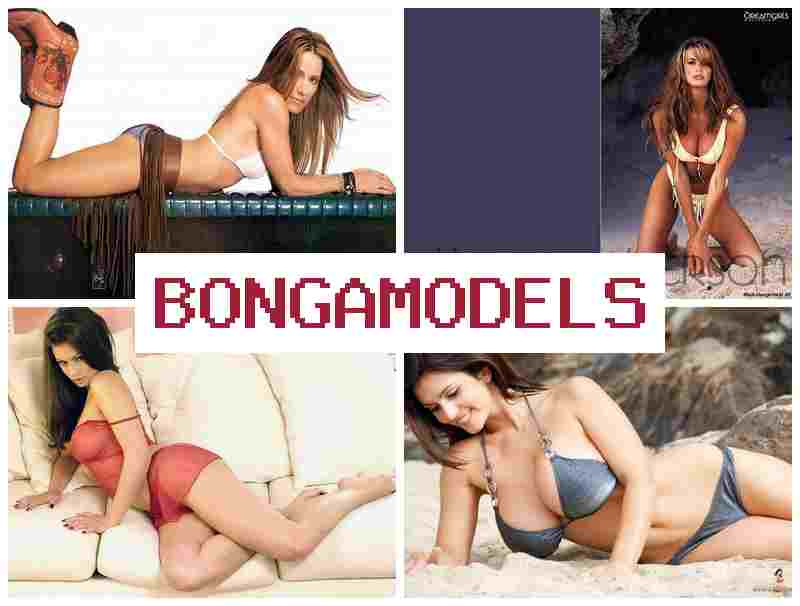 BONGA AMODELS ⭕ 재택근무로 편리하게 일하는 홈 기반 영상 채팅 모델, 초보자 환영