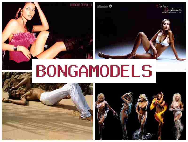 BONGA MODELSS 💵 모바일로 간단히 활동하는 웹 모델링, 24시간 지원