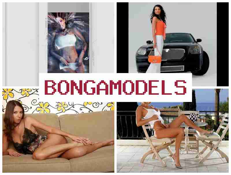 OBNGA MODELS 💸 편안하게 온라인으로 일하는 영상 채팅 모델링, 높은 수익