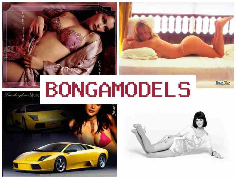 BONGMAODELS 🎥 초보자도 부담 없이 참여하는 영상 채팅 모델 업무, 주급 지급