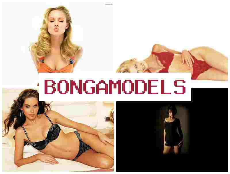 BONGA MOEDLS 💯 휴대폰으로 쉽게 참여하는 웹캠 모델 업무, 높은 보수