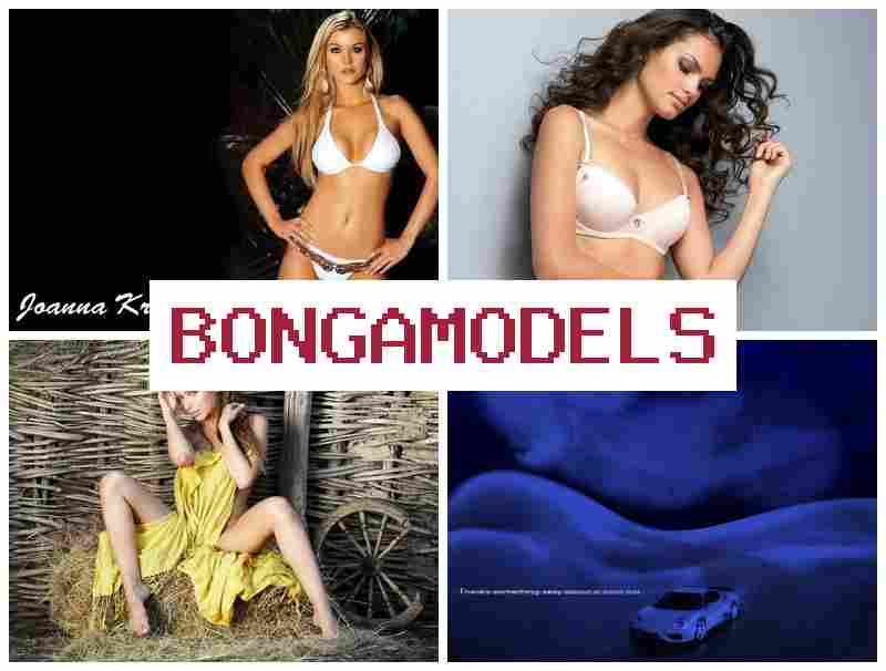HONGA MODELS 🔔 편안하게 온라인으로 활동하는 영상 채팅 모델링, 유연한 근무
