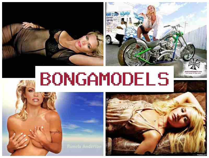 NONGA MODELS 🔶 온라인에서 손쉽게 인터넷 모델 업무, 유연한 근무