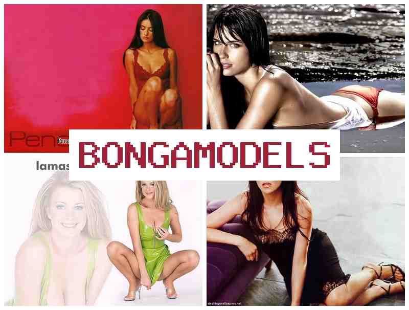 BINGA MODELS 🔔 재택에서 안전하게 수익 내는 영상 채팅 모델링, 24시간 지원