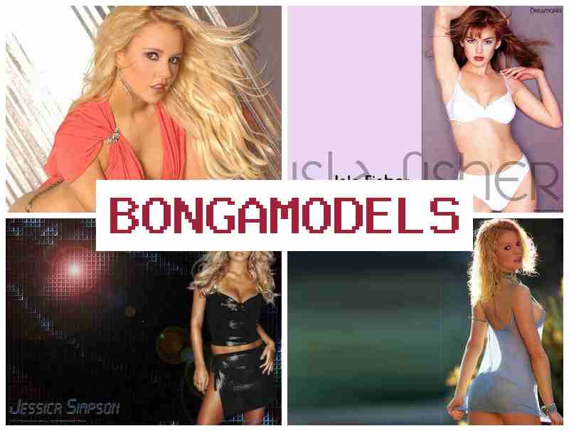 BONFA MODELS 👩 초보자도 부담 없이 웹 모델링, 경험 불필요