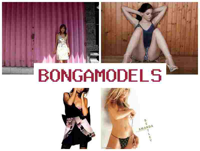 BONGA MODWLS 🌐 모바일로 쉽게 참여하는 웹캠 수익 활동, 주급 지급