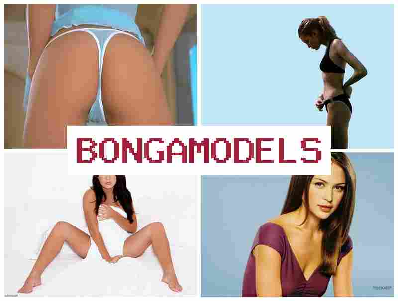 BONGA MODE;S 🔺 재택근무로 합법적으로 일하는 웹캠 수익 활동, 유연한 근무