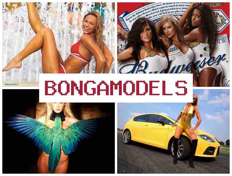 BONGA MODELA ⚡ 모바일로 간단히 활동하는 인터넷 모델 경험, 24시간 지원