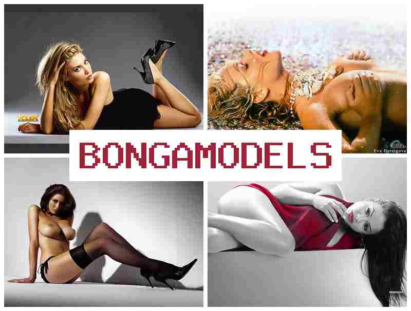 BONGAMODEELS 💲 초보자도 부담 없이 시작하는 홈 기반 영상 채팅 모델, 24시간 지원