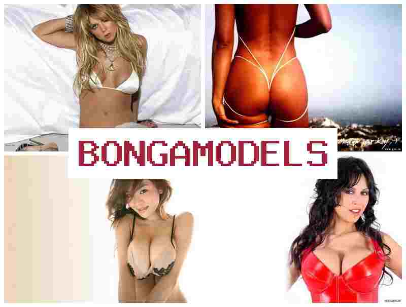 BNOGAMODELS 💸 초보자도 부담 없이 참여 웹 모델 직업, 높은 수익